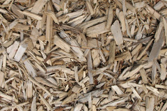 biomass boilers Burlestone