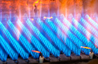 Burlestone gas fired boilers